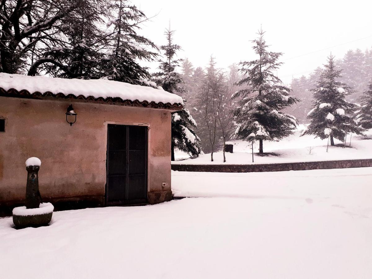 Casa Alegria Bed and Breakfast Morano Calabro Εξωτερικό φωτογραφία