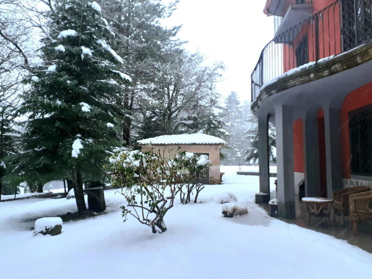 Casa Alegria Bed and Breakfast Morano Calabro Εξωτερικό φωτογραφία